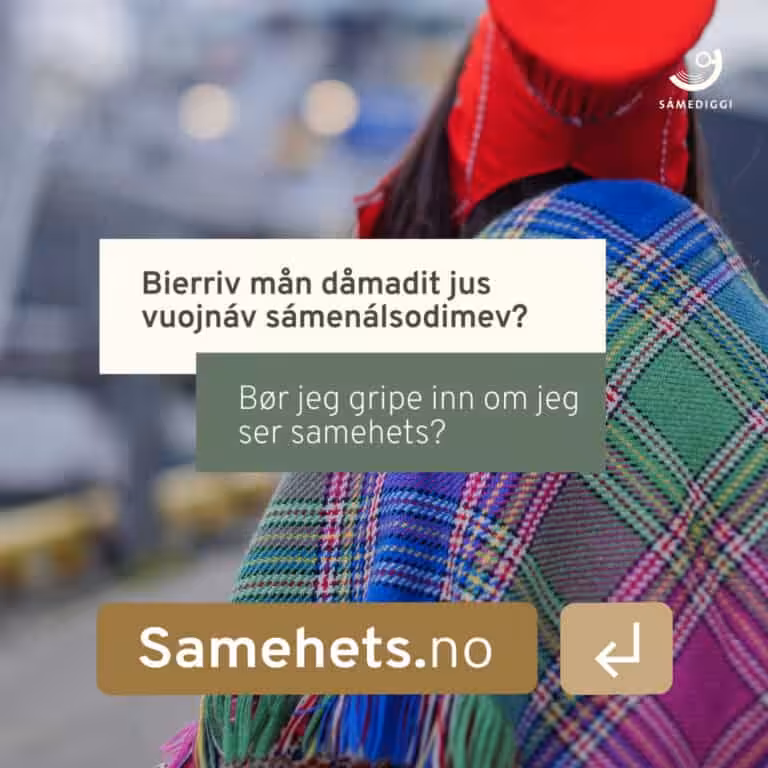 Samehets.no bilde LS Feed Gripe inn Thumb